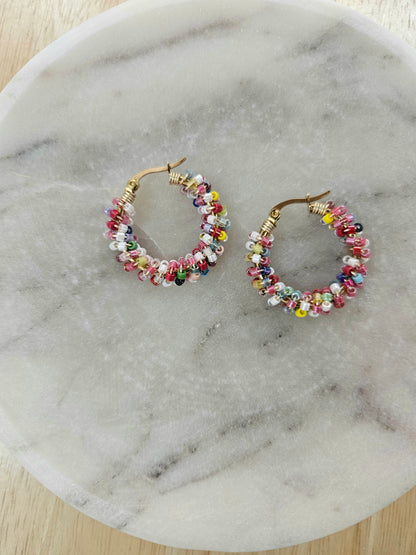 Rainbow Delight Earrings